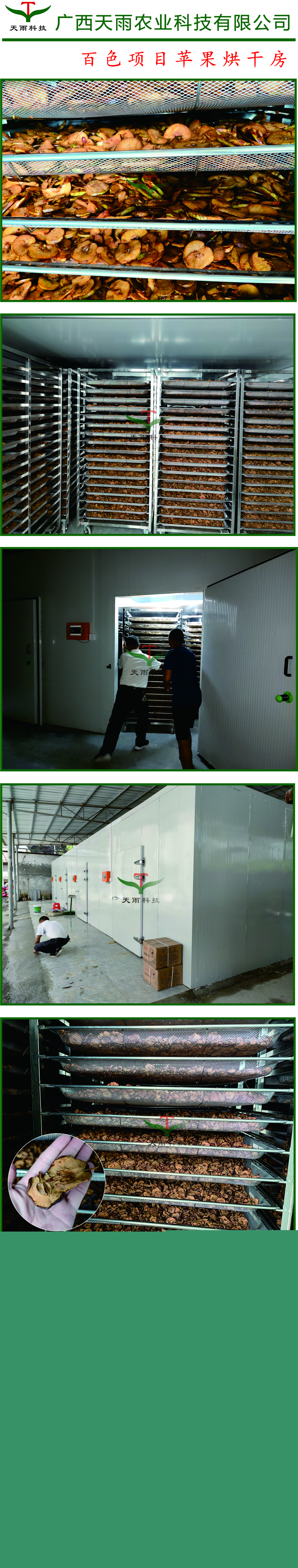百色蘋果烘干過程.jpg